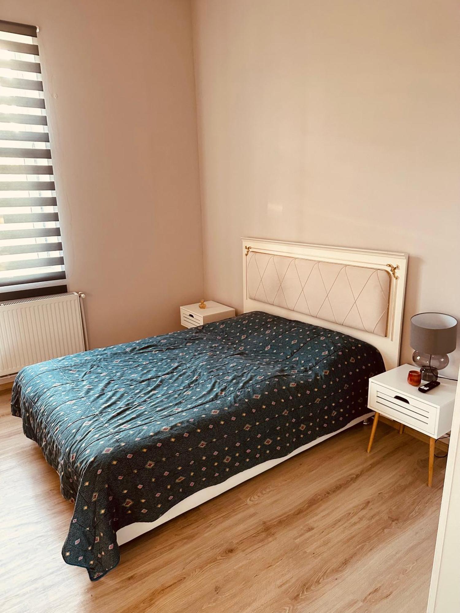 Serbian House Bed and Breakfast Timişoara Eksteriør billede